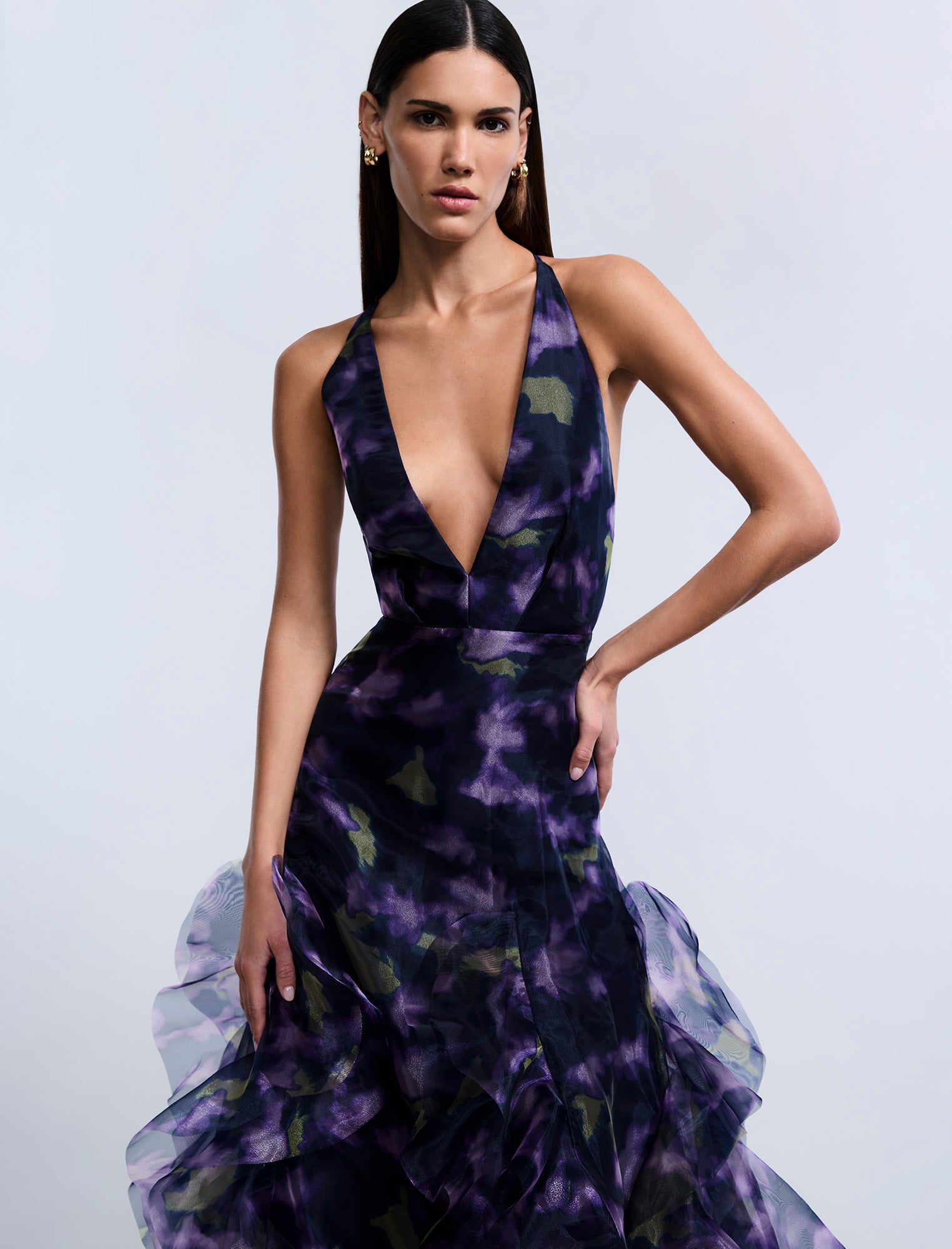 Printed Organza Gown Printed Organza Gown